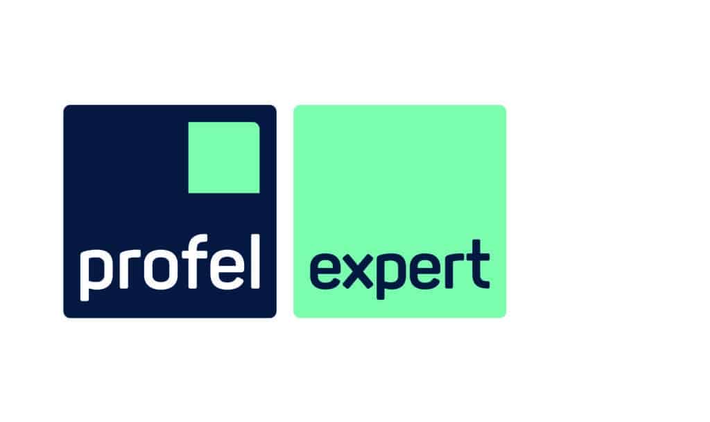 Profel Expert Logo